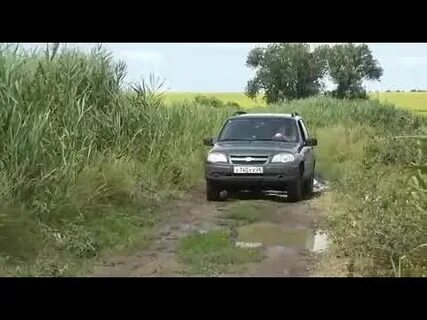 Песня про ниву