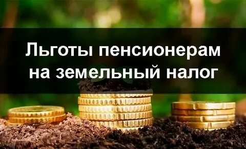 Платят ли пенсионеры за дачный участок