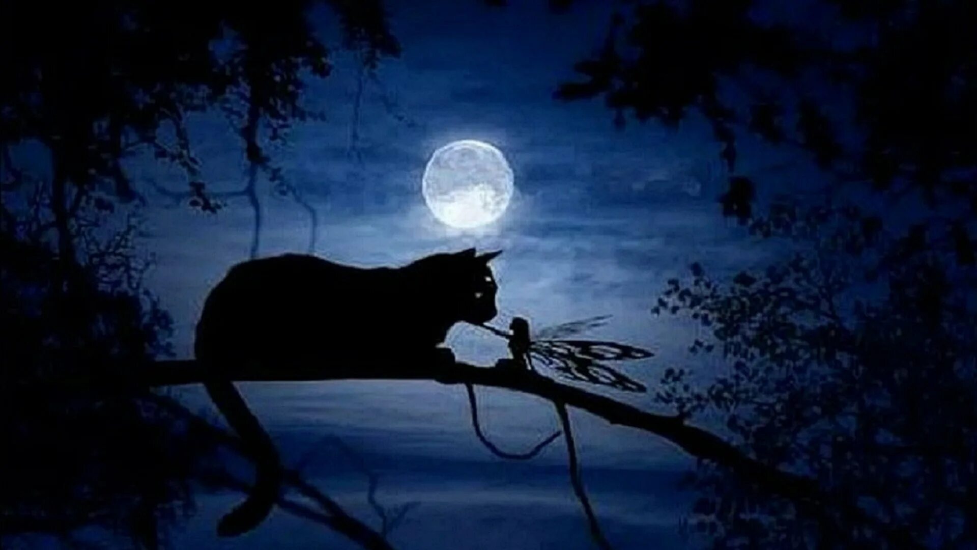 Ночь Луна кот. Кот ночью. Сказочная Луна. Сон под луной. Чудесные лунные мартовские ночи ответы