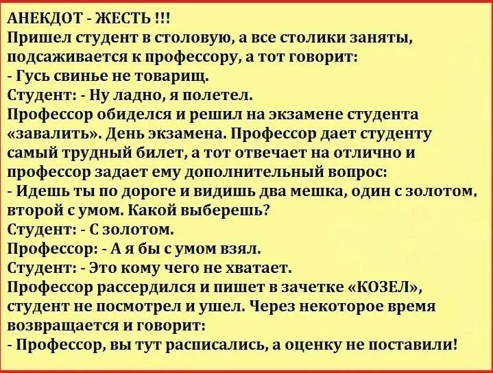 Почему она подсела. Анекдот. Гусь свинье не товарищ анекдот. Анект. Анекдот про студента и профессора.