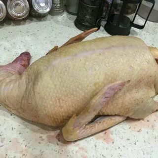 Тушки мулардов