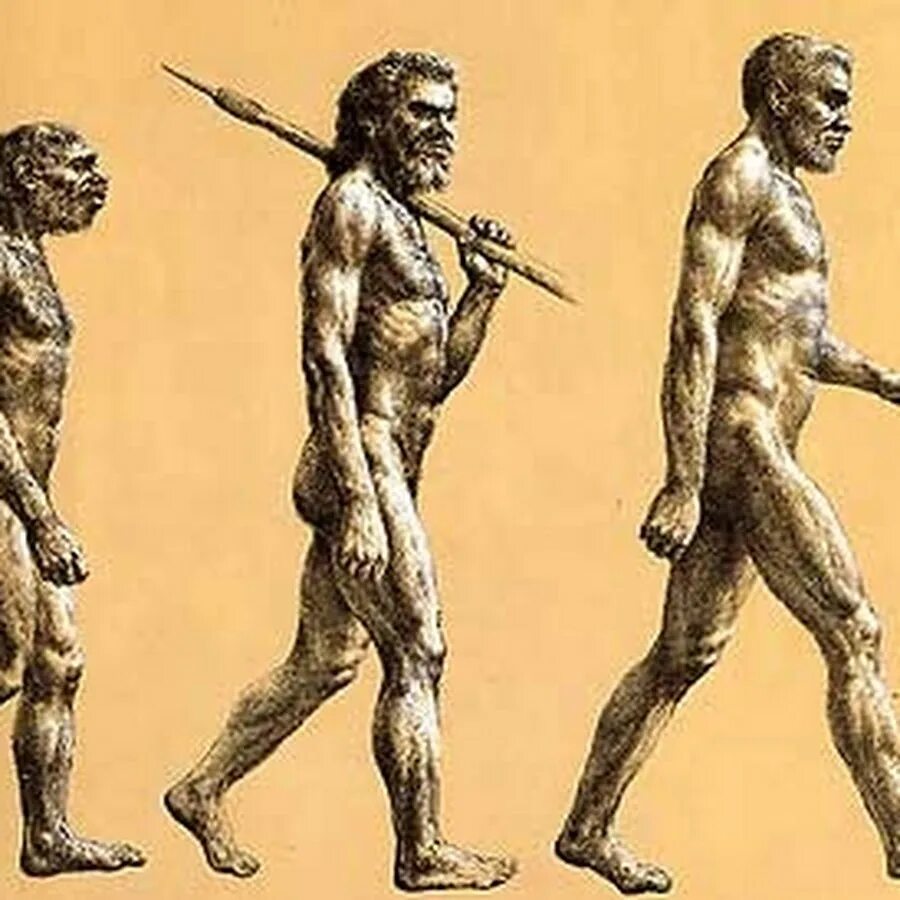 Хомо сапиенс сапиенс и кроманьонец. Кроманьонец ( homo sapiens). Человек разумный разумный homo sapiens sapiens. Хомо сапиенс неандерталец кроманьонец. Хомо сапиенс появился в эпоху