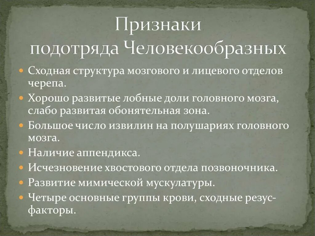 Эти признаки определяют принадлежность человека к. Подотряд человекоподобные признаки. Подотряд человекообразные признаки человека. Признаки высших приматов. Особенности подотряда человекообразные.