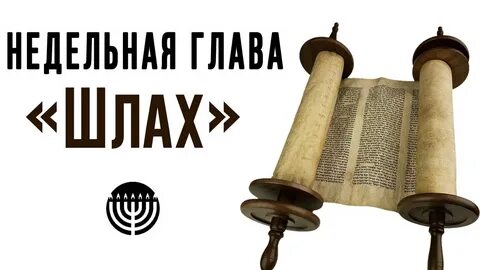 Недельная глава торы