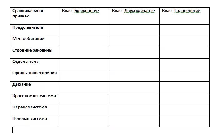 Характеристика классов моллюсков
