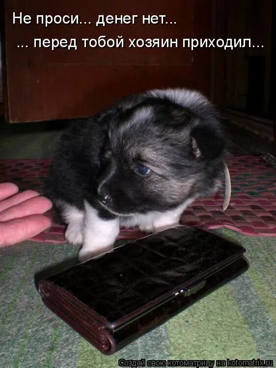 я не дам я не дам. булгаков цитаты из мастера и маргариты. смешно попросить денег. я тебе не дам. прикол я не дам.