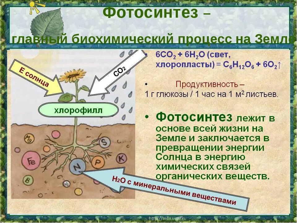 В реакциях фотосинтеза энергия света. Фотосинтез презентация 6 класс. Фотосинтез схема. Фотосинтез это в биологии. Фотосинтез по биологии.