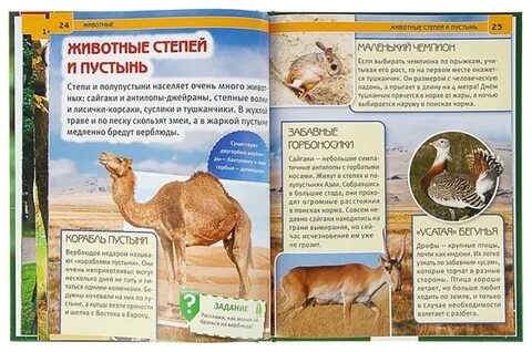 Энциклопедия с заданиями
