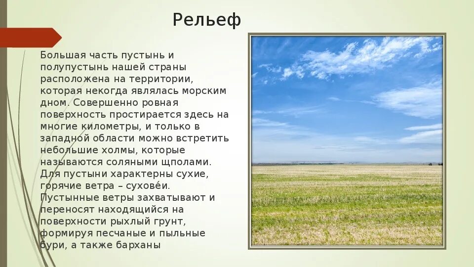 Полупустыни россии 8 класс. Рельеф пустыни и полупустыни. Рельеф полупустынь. Рельеф пустыни в России. Рельеф полупустынь в России.