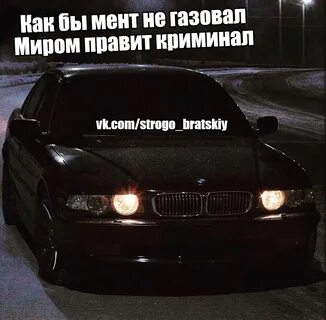 Правят криминал