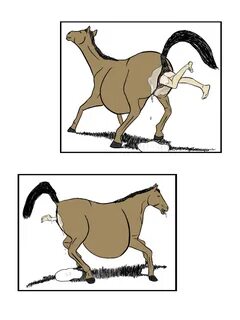 ah_1235653337639_Rid. 