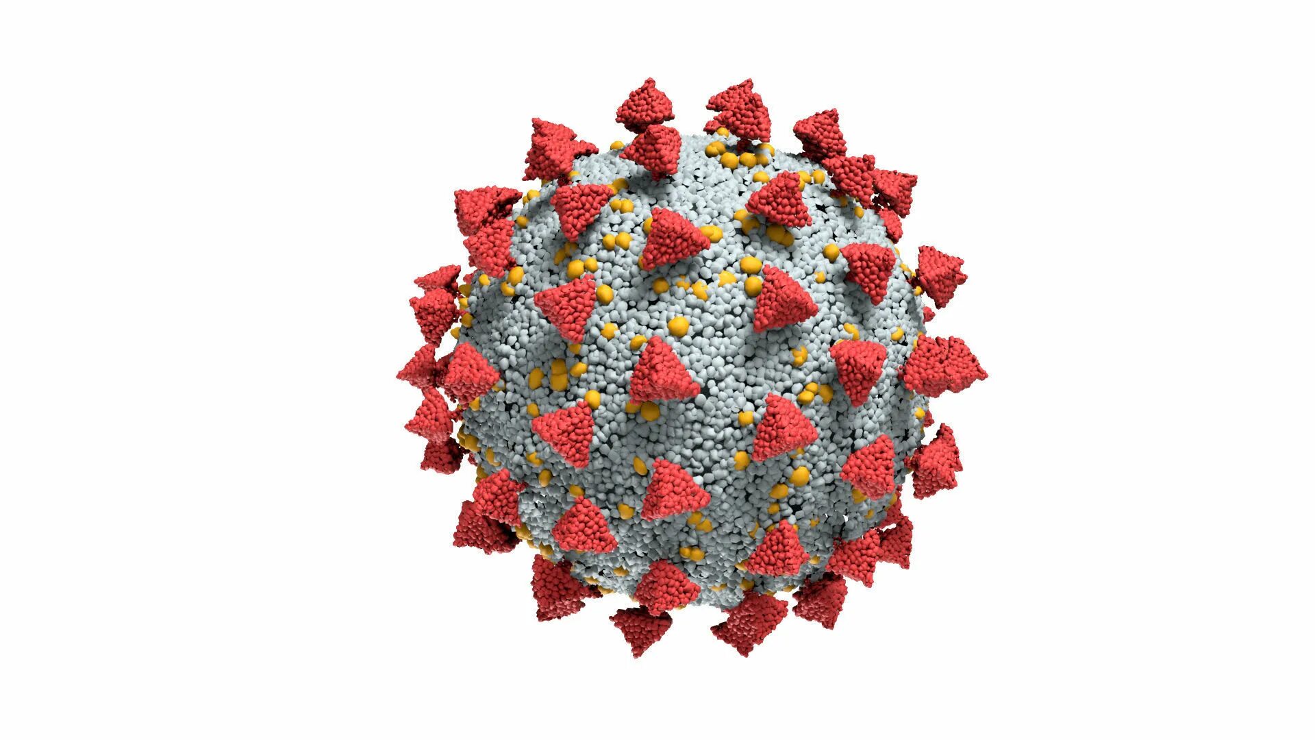 Coronavirus 3d. Коронавирус модель вируса. Модель вируса ковид 19. Коронавирус Вирион. Новый тип коронавируса