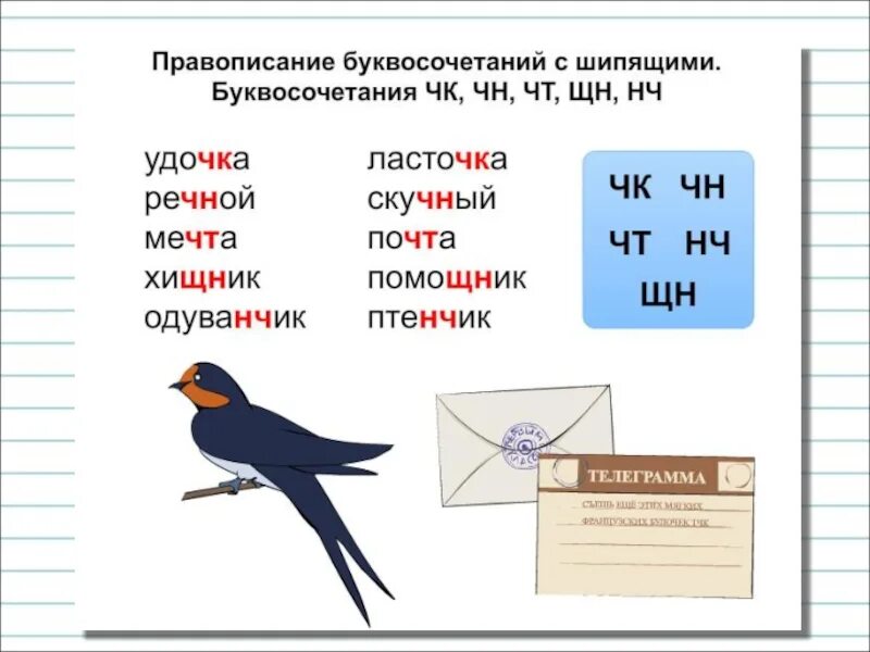 Буквосочетаний чк чн щн. Правописание ЧК-ЧН примеры. Правописание сочетаний ЧК ЧН. Буквосочетания ЧК ЧН НЧ. Сочетание букв НЧ.