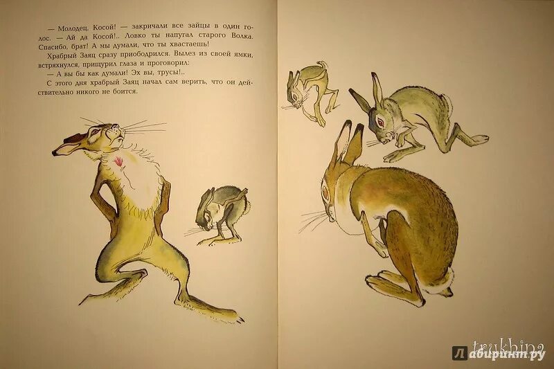 У зайца хвост короткий а уши. Мамин-Сибиряк сказка про храброго зайца книга. Заяц из сказки про зайца длинные уши косые глаза короткий хвост.