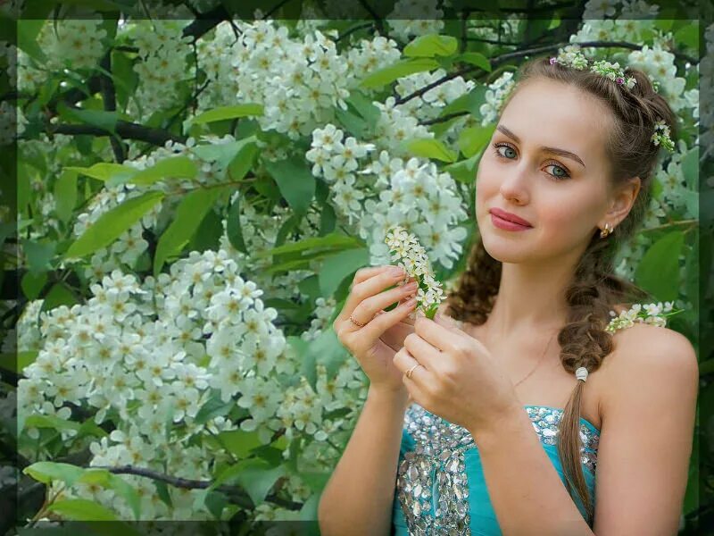 Черемуха марина. Герман черемуха душистая. Черемуха и любовь. Влюбленные под черемухой. Девушка с черемухой.