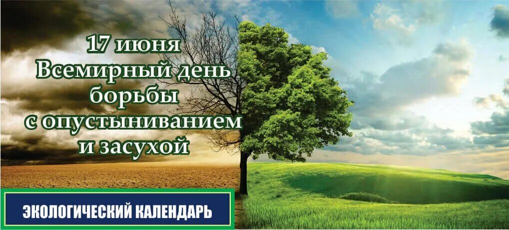 Всемирный день с опустыниванием и засухой. Всемирный день борьбы с засухой. 17 Июня день борьбы с опустыниванием и засухой. День борьбы с опустыниванием и засухой картинки.