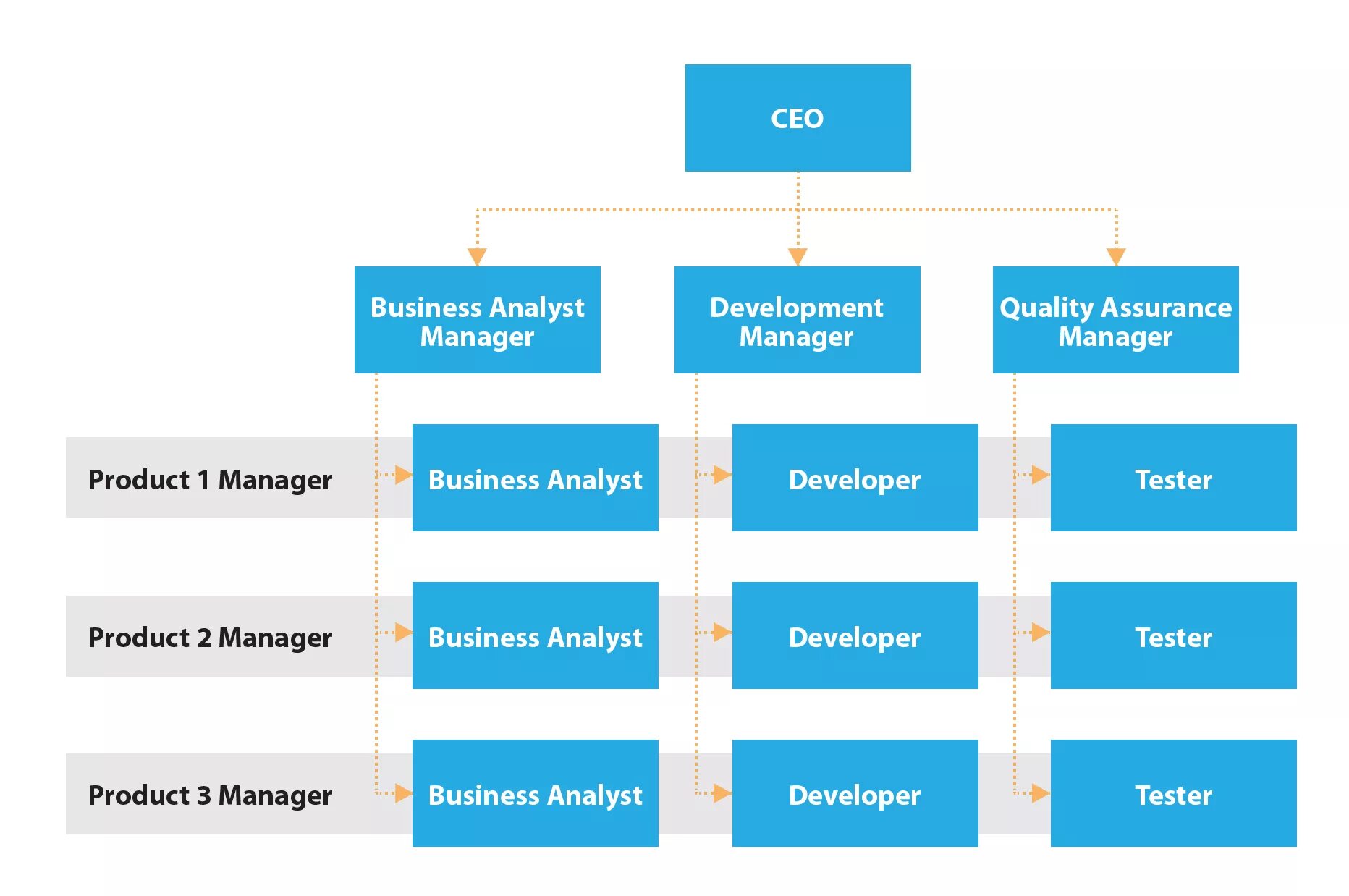 Flat structure. Organization structure matrix. matrix organizational structure. matrix structure of company. hierarchical organizational structure.
