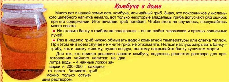 Чайный гриб в 3 литровой банке. Сколько надо сахара в чайный гриб на 2 литра. Чайный гриб рецепт. Пропорции сахара для чайного гриба.