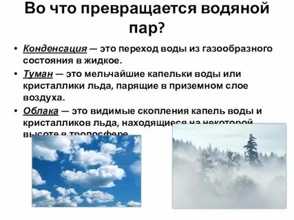 Откуда берется влага в атмосфере