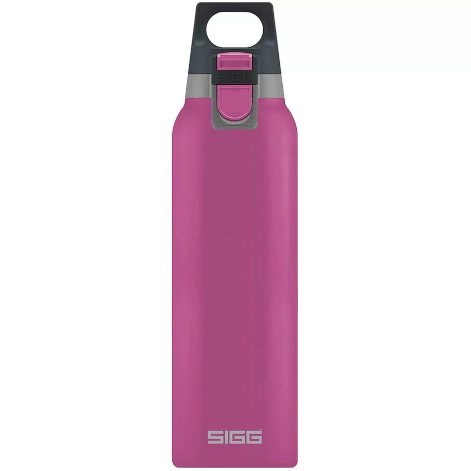 Термос Sigg 0.5. Термос Sigg h&c one 500мл Brushed (8581.80). Термобутылка Sigg h&c 8448.10. Термобутылка Stinger, 0.71. Термобутылка купить