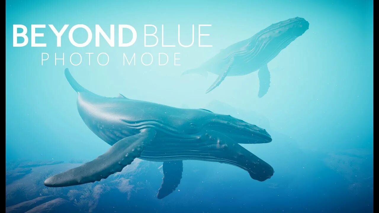 Beyond and more. Beyond blue. beyond blue игра. beyond blue (video game). beyond blue 4+.