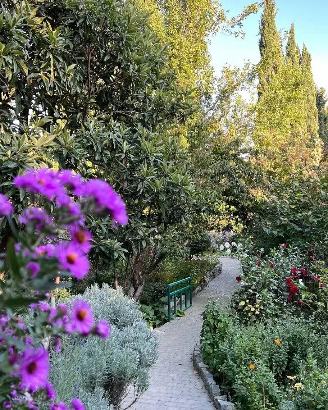 белая дача ялта чехов. ялтинская дача стояла почти. ялтинская дача стояла почти. ялтинская дача чехова стояла. дом чехова в ялте.