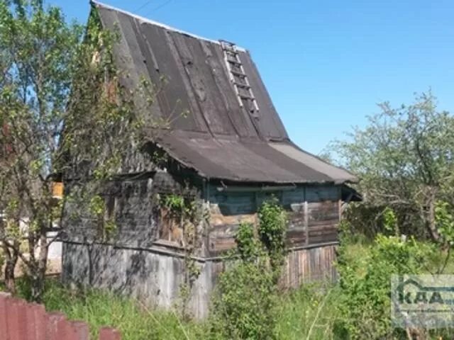 Дача прогресс. Калуга подзавалье снт прогресс. снт прогресс 2 дмитровский район. снт прогресс нижегородская область. снт прогресс 96 фото.