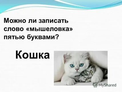 Отчетливо являться