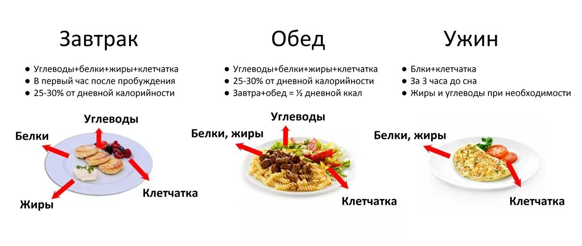 Что едят утром при похудении. ПП схема питания. Правильное распределение еды белки жиры углеводы. Рацион правильного питания. Схема правильного питания.