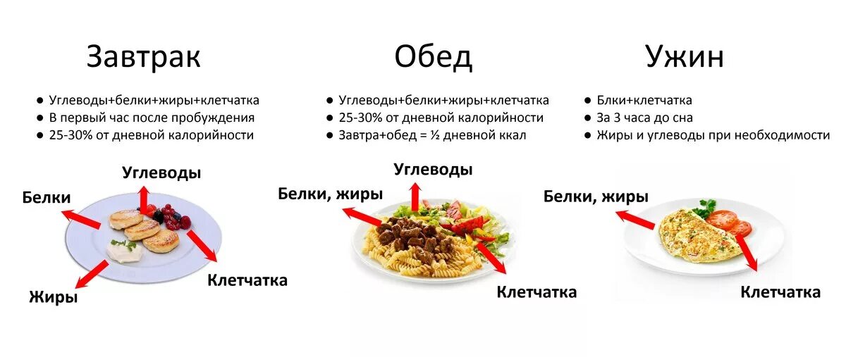 Надо кушать белок. ПП схема питания. Правильное распределение еды белки жиры углеводы. Рацион правильного питания. Схема правильного питания.