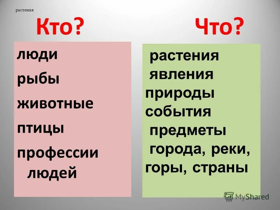 Написать 5 слов на вопрос что. Слова отвечающие на вопрос кто. Слова отвечающие намврпрос кто. Слова которые отвечают на вопрос кто. Слова отвечающие на вопрос что.