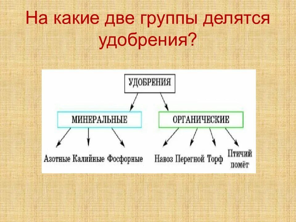 Делятся на три группы 1. Что такое органические и Минеральные удобрения. Две группы удобрений. Классификация Минеральных удобрений. На какие две группы делятся.