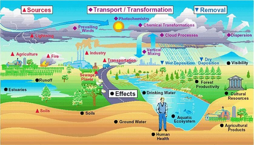 Effects of Air pollution. Effects of Water pollution. Sources of Air pollution. Air pollution and Water pollution.