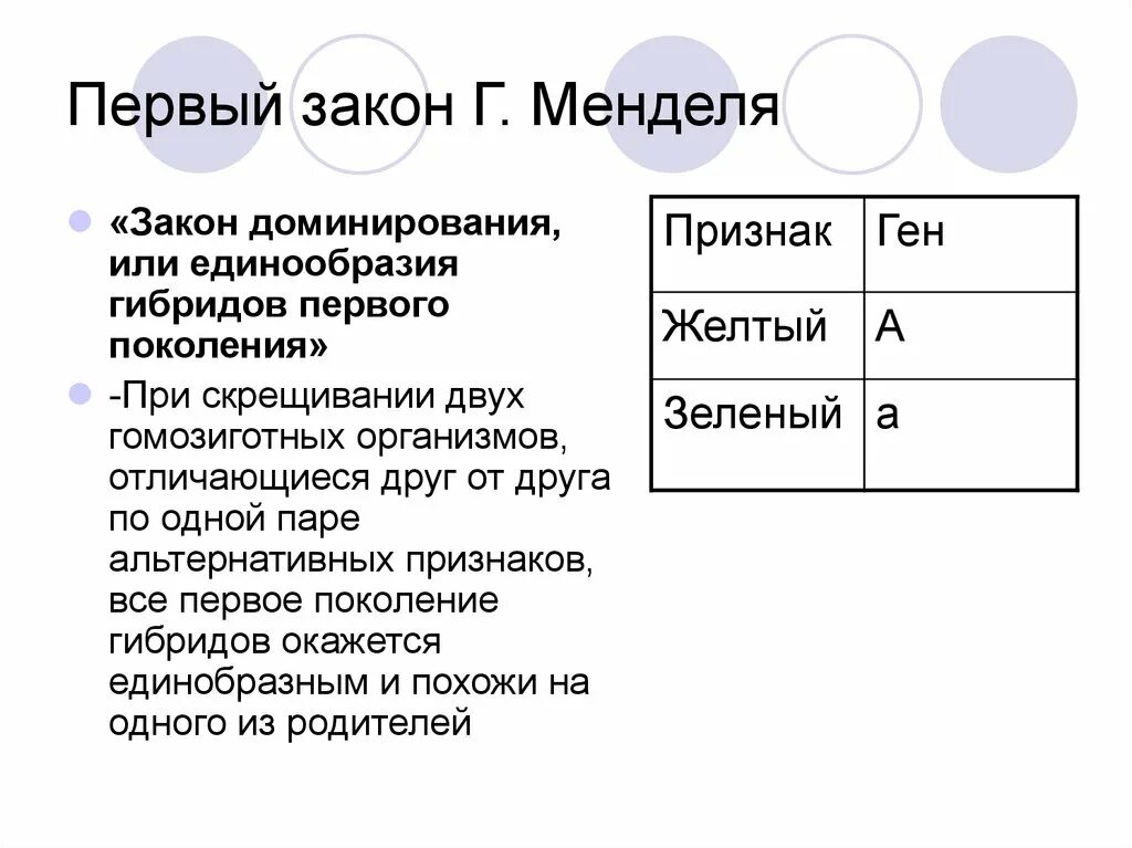 Генетические задачи на 1 и 2 закон менделя с решением. Решение задач по генетике дигибридное скрещивание с решением. Практическая работа составление схем скрещивания. Схема решения моногибридного скрещивания. Запись задачи по генетике схема скрещивания.
