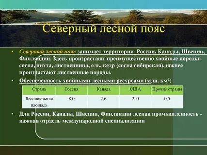 Найдите площадь лесного массива