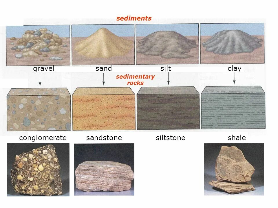 Определите осадочную породу. Песчаник осадочная Горная порода. Песчаник минерал или Горная порода. Песчанникминерал или Горная порода. Конгломерат осадочная Горная порода.