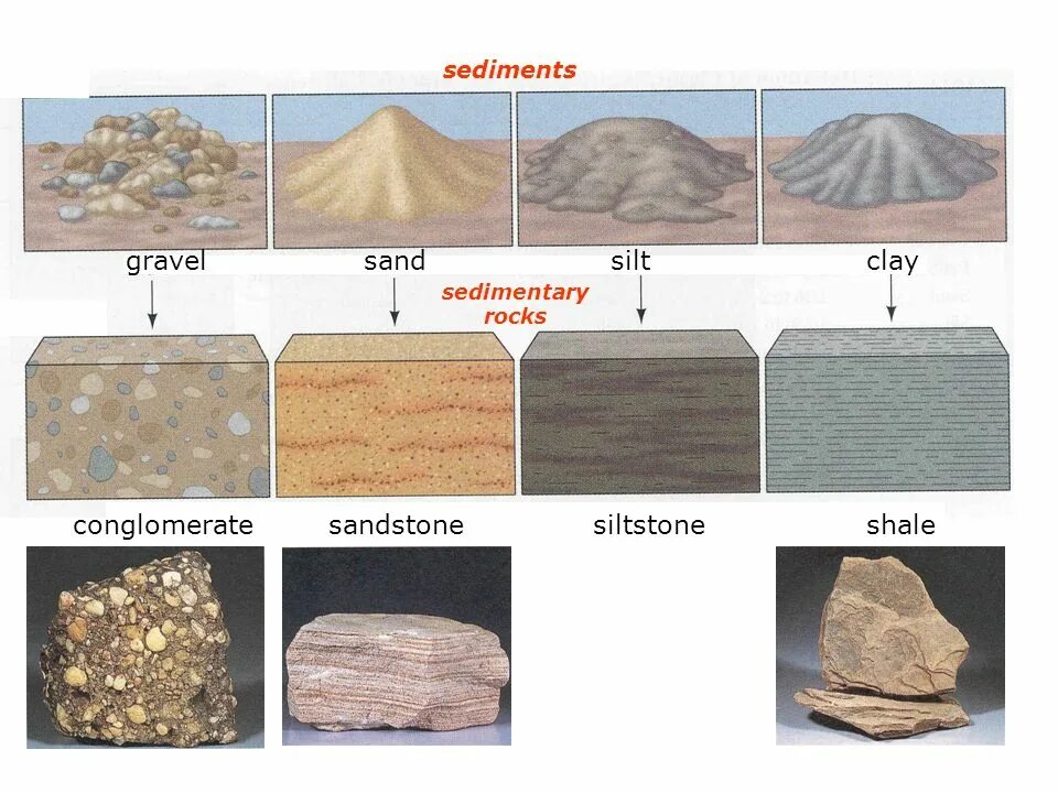 Название осадочных горных пород. Песчаник осадочная Горная порода. Песчаник минерал или Горная порода. Песчанникминерал или Горная порода. Конгломерат осадочная Горная порода.