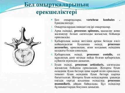 Жетілген және ана секс порно видео онлайн