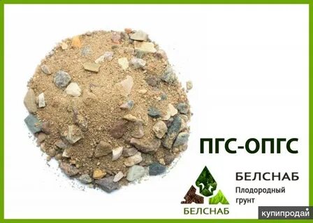 Пгс дистанционно