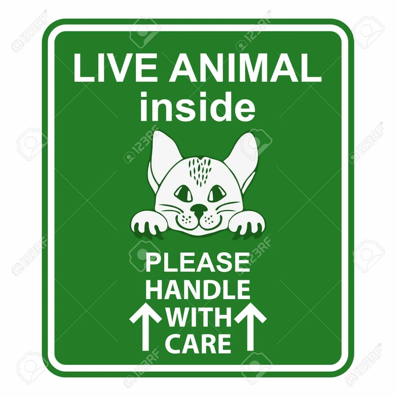 Animals please. Live animals наклейка. Этикетки animals Live. IATA наклейка Live animals. Live animals бирка.