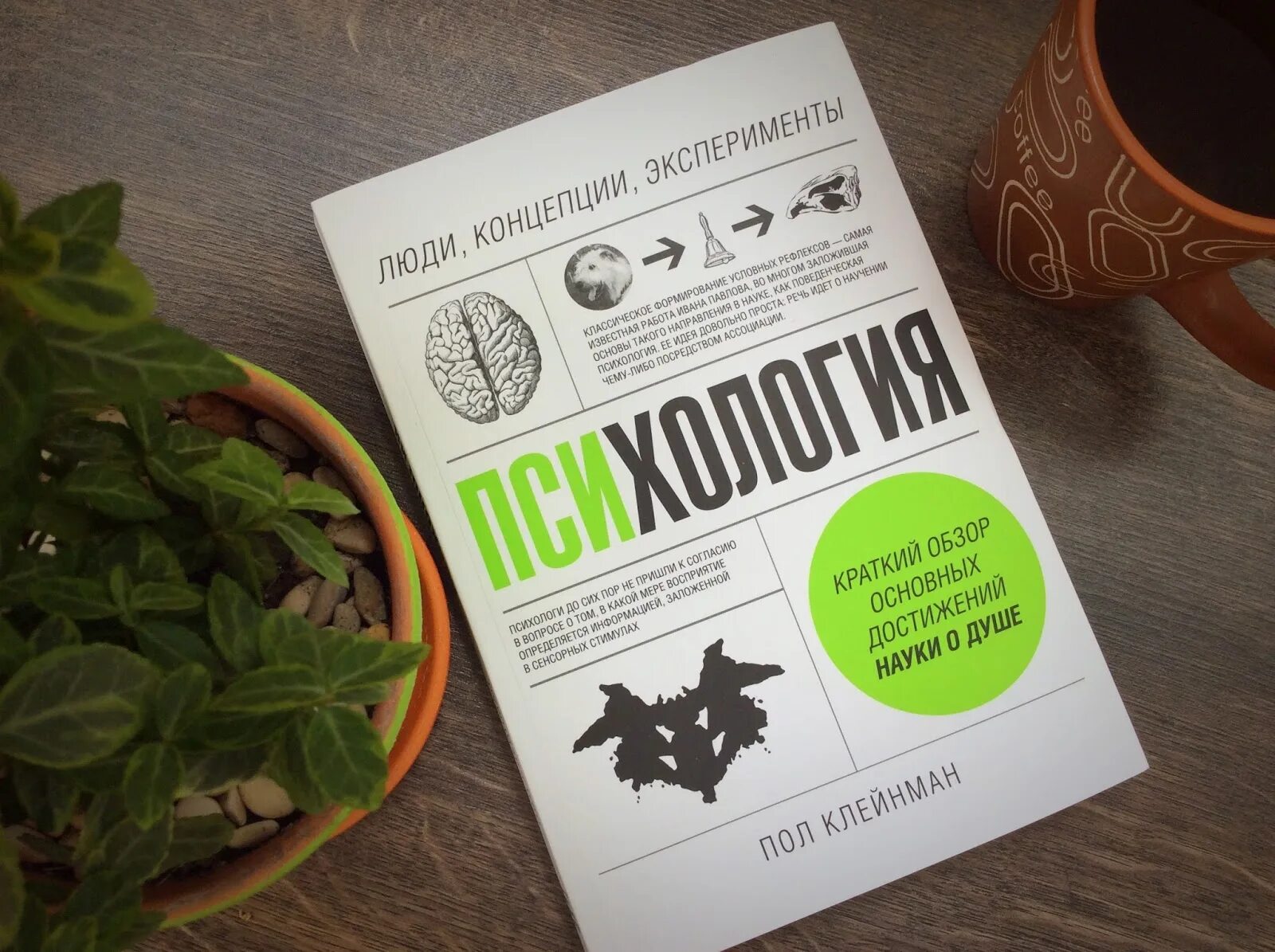 Пол клейнман психология. Пол клейман психология. Пол клейман психология. Психология люди концепции эксперименты. Книга психология пол клейман.
