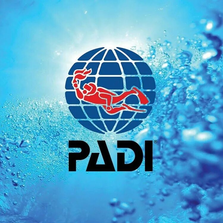 Padi open. Padi OWD. Padi дайвинг. Padi лого. Padi курсы.