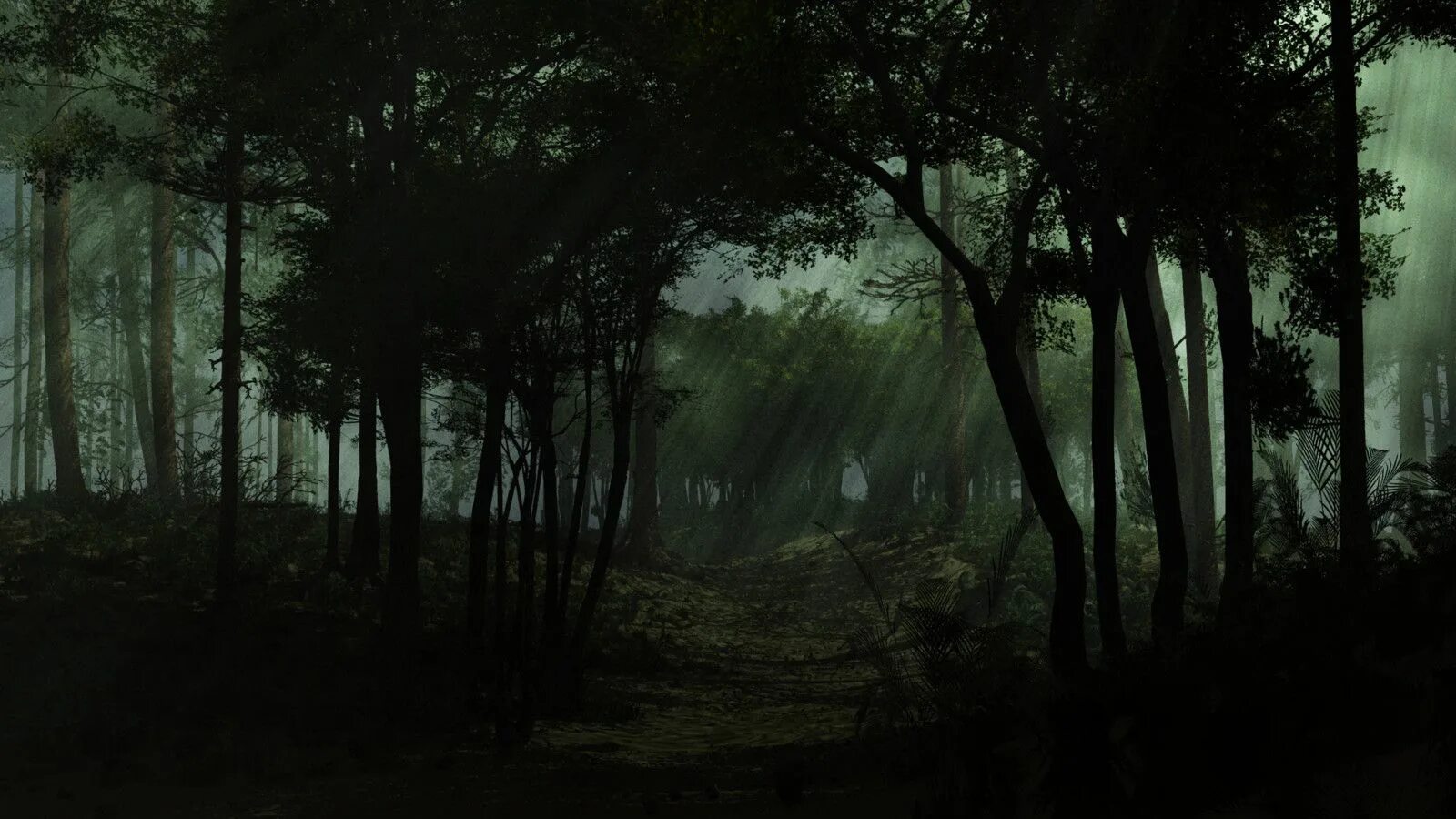 Темный лес Геншин. Мрачный лес. Ночной лес арт. Темный лес арт.