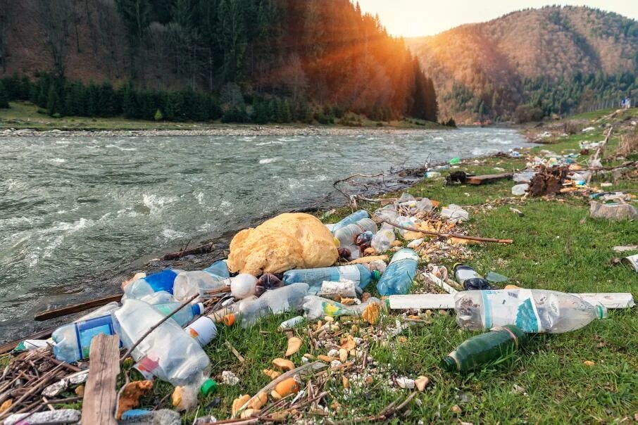 Загрязнения берегов рек. Загрязнение природы. Пластик в реке.