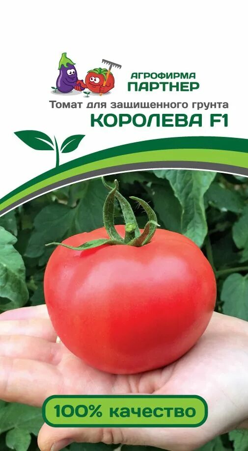Семена томатов королева. Партнер томат Королева f1. Томат Королева f1. Агрофирма "партнер" томаты "Королева"f1. Томат вендетта f1.