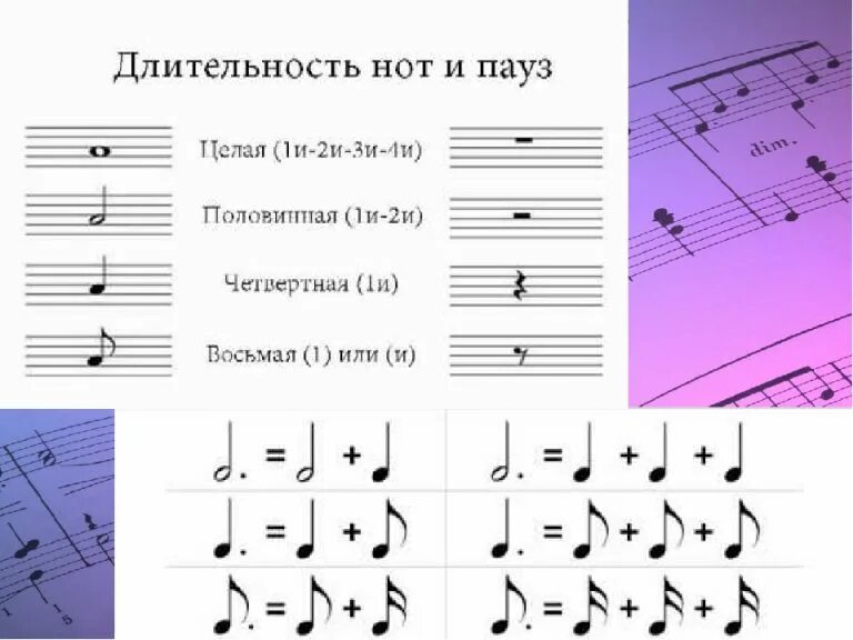 Обозначение длительности нот. Длительности ритм размер паузы сольфеджио. Что такое ритм и четверти. Обозначение длительности нот на нотном стане. Длительности нот таблица.