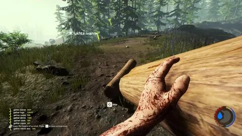The forest кратер