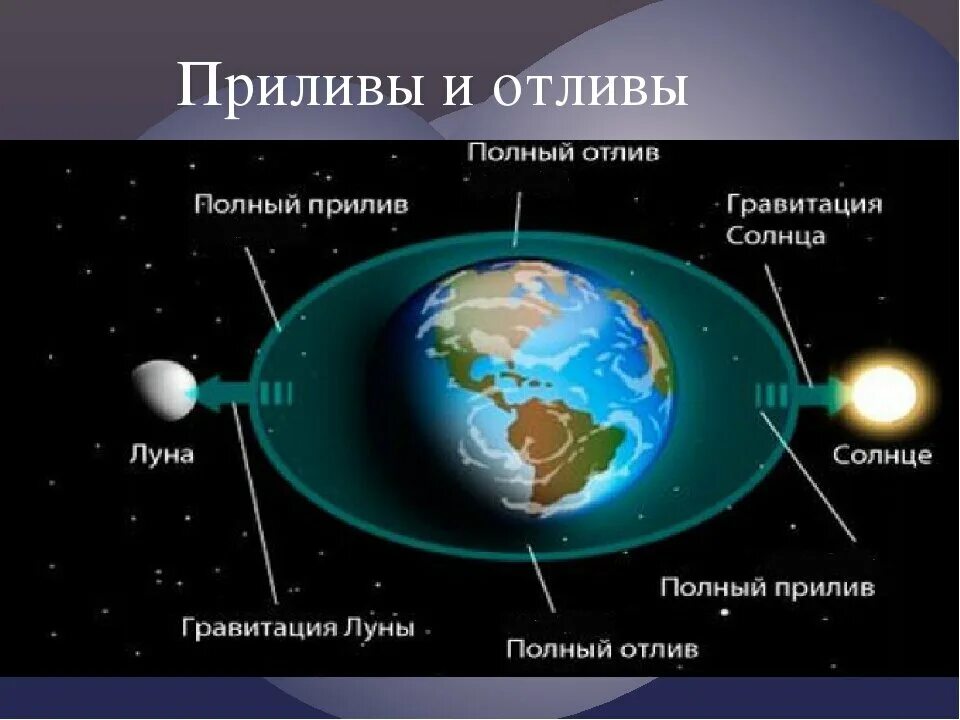 Притяжение воды луной. Луна приливы и отливы на земле. Приливы и отливы влияние Луны. Солнечные приливы и отливы. Прилив и отлив солнце и Луна.