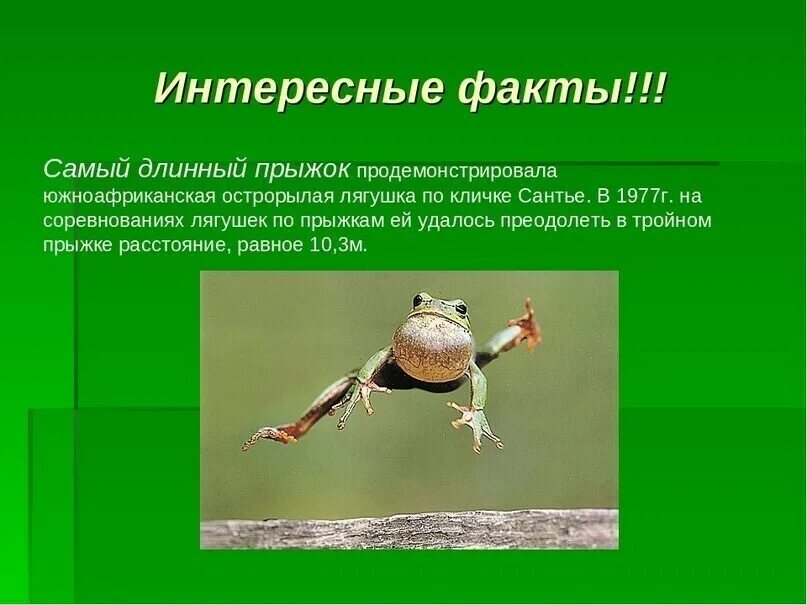 Три интересных факта