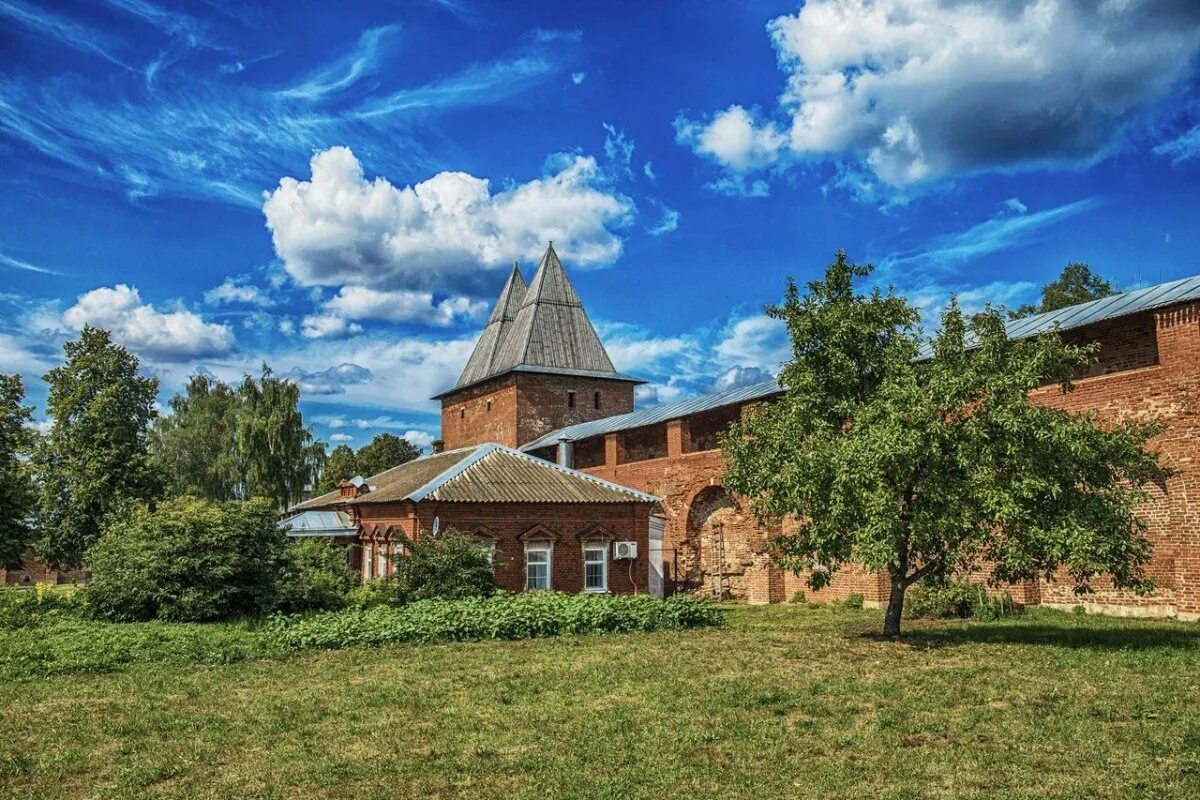 Зарайск животное. Зарайск кремль. зарайск крепость. зарайский кремль фонеев. 17. зарайский кремль.